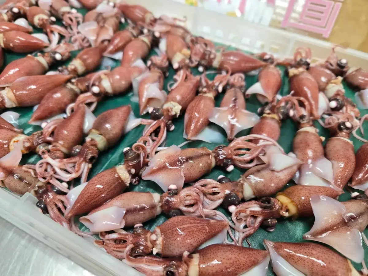 Hotaruika Firefly Squid