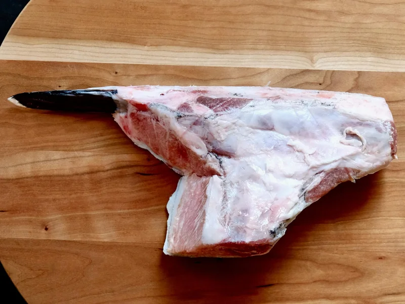 Bluefin Tuna Kama