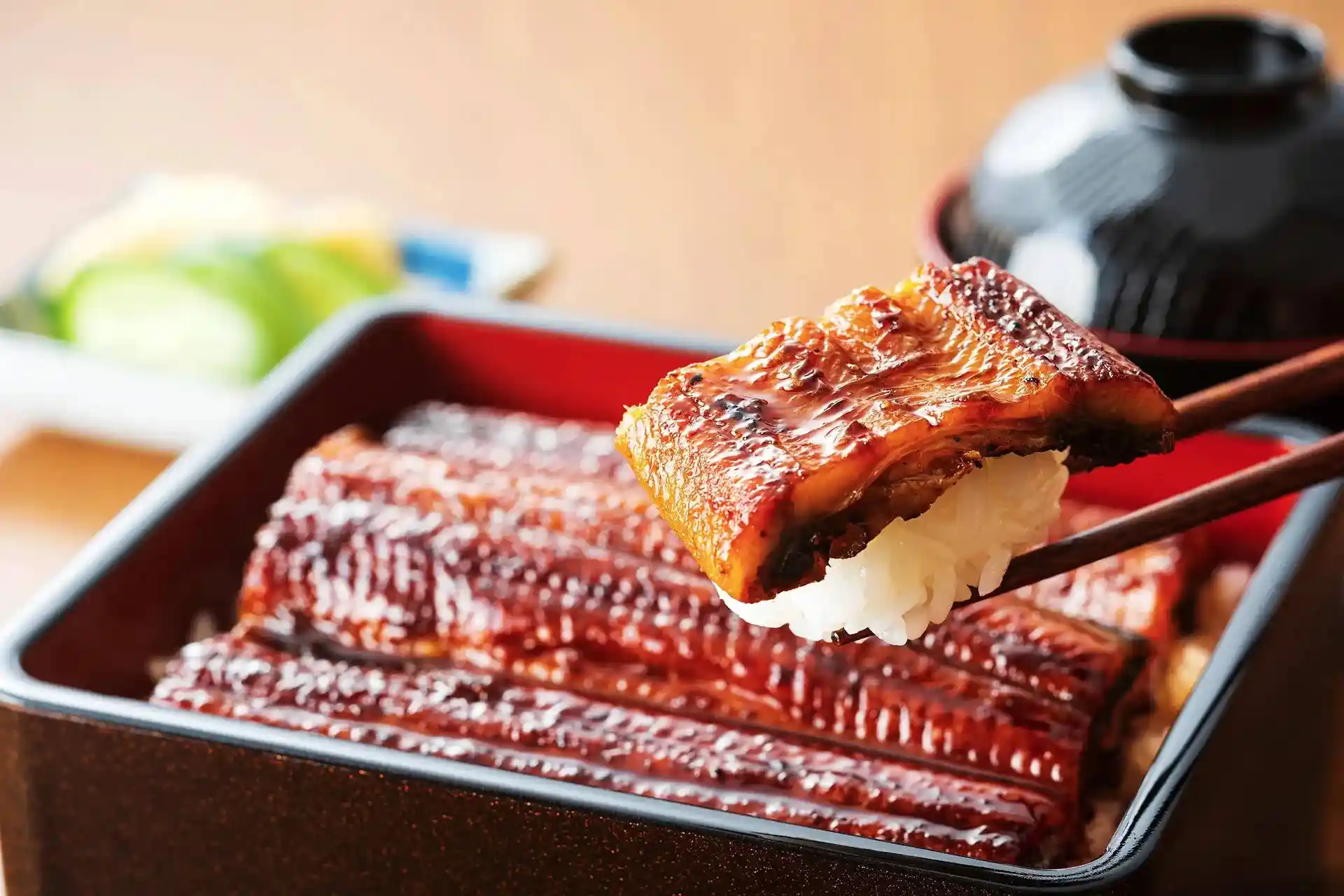 Kagoshima Unagi Kabayaki