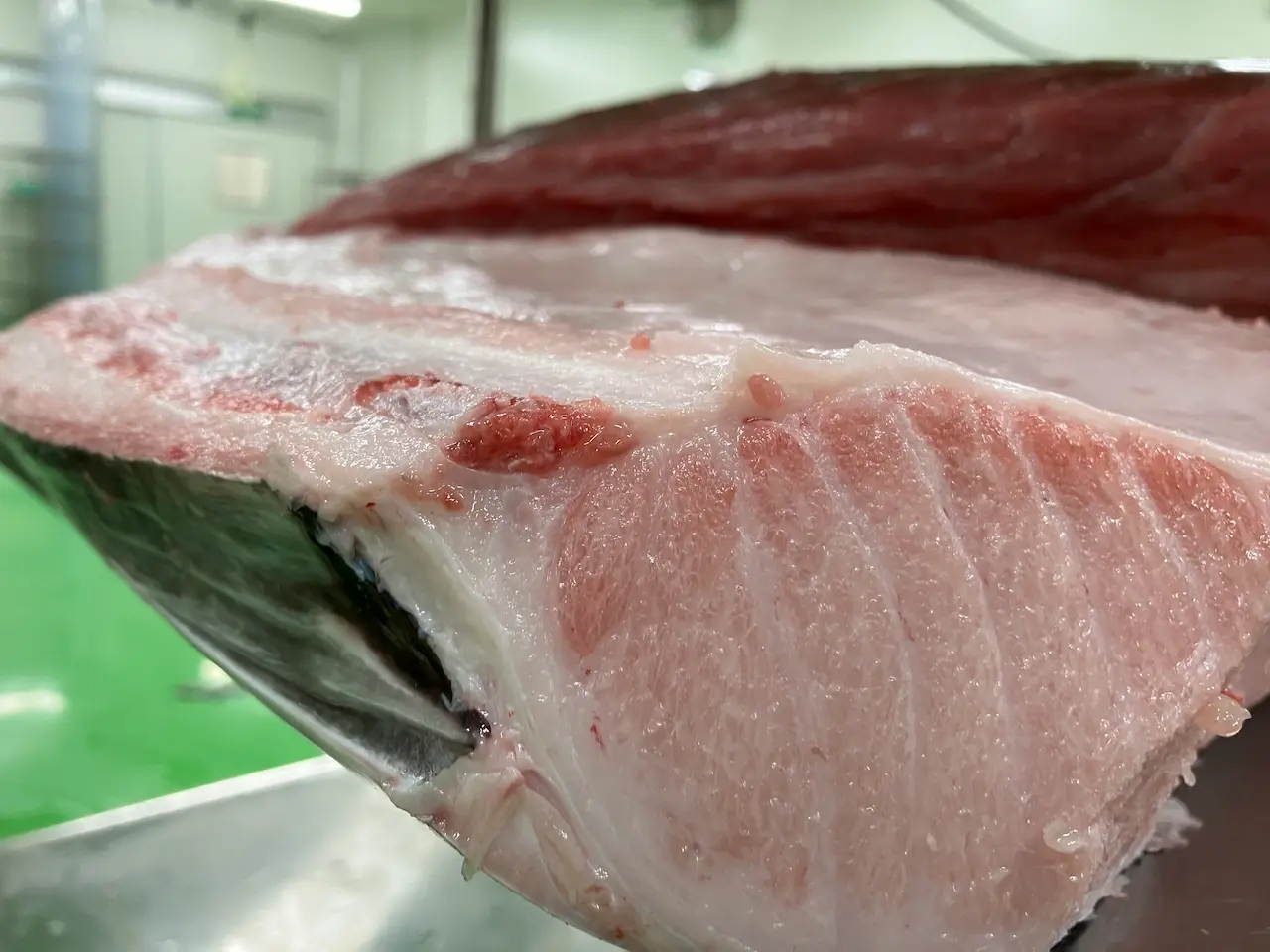 JETRO/MAFF Certification, Full Restock, Negitoro Classes — Sashimi DC
