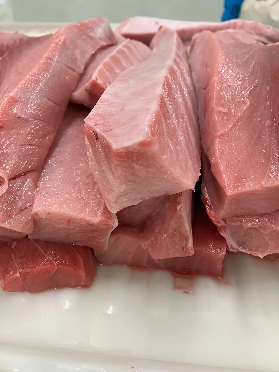 Summer Bluefin — Sashimi DC