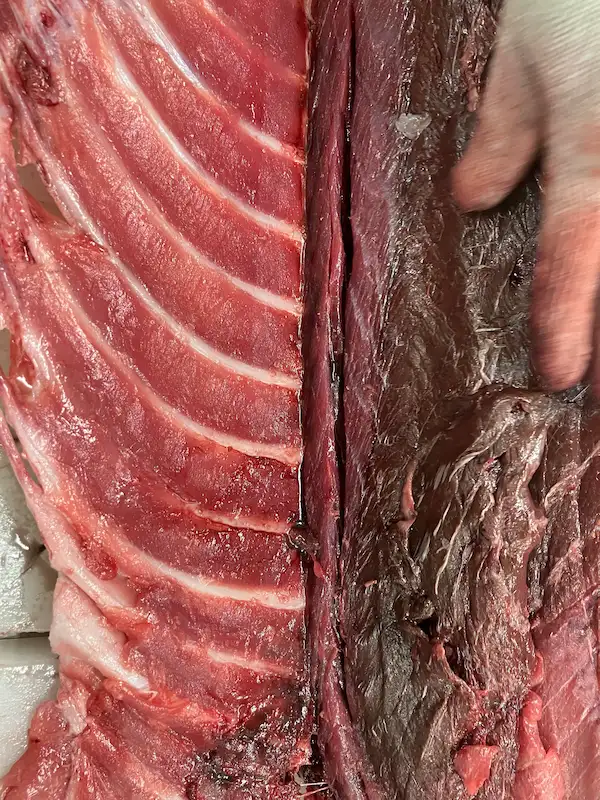Fattier Bluefin Tuna and Large Hokkaido Uni — Sashimi DC