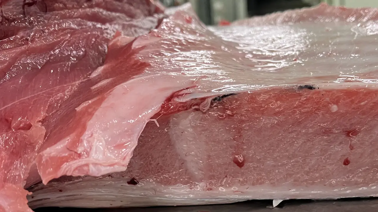 Bluefin Tuna rare cuts — Sashimi DC