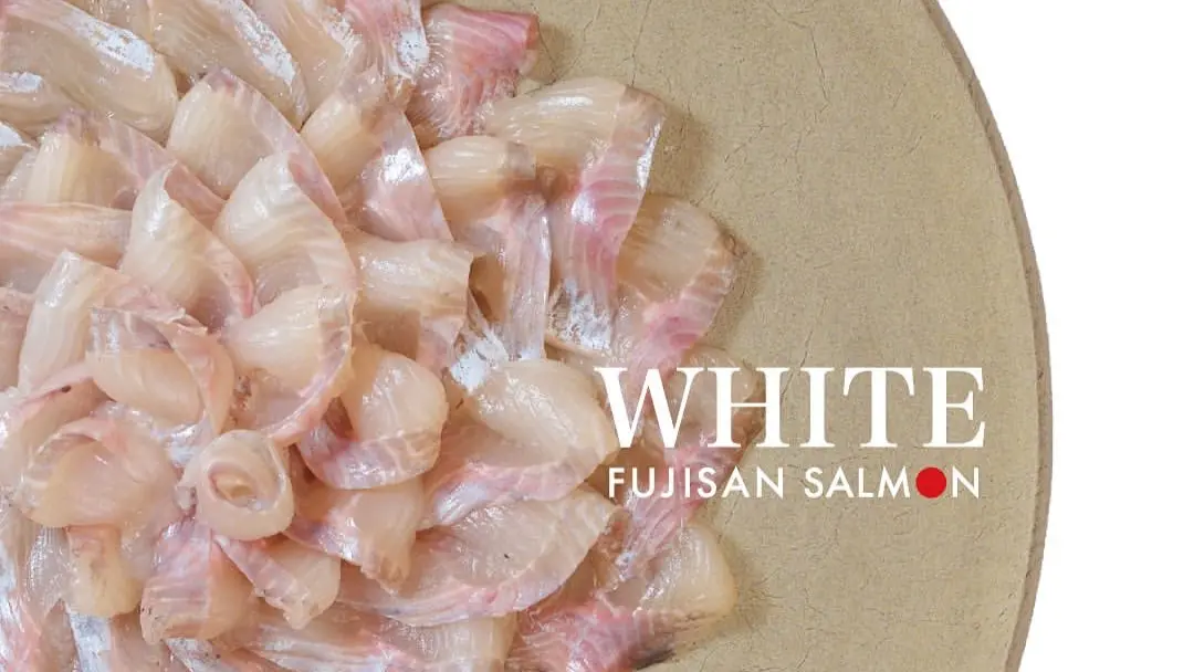 Fujisan White Salmon arrives, vacuum-pack line paused &mdash; Sashimi DC