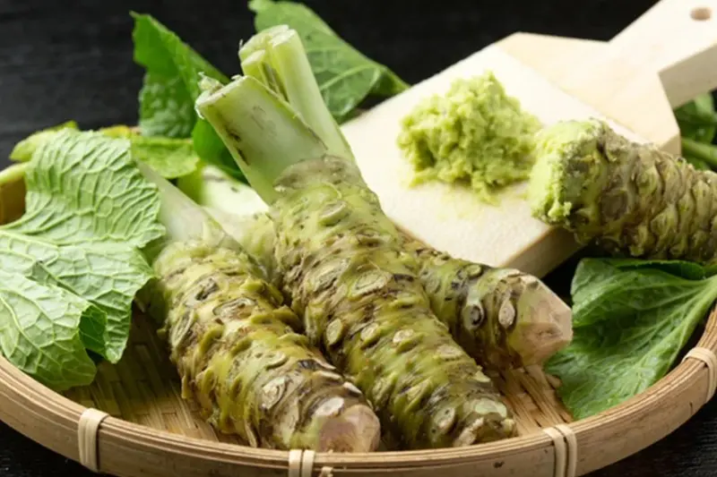 Fresh Wasabi