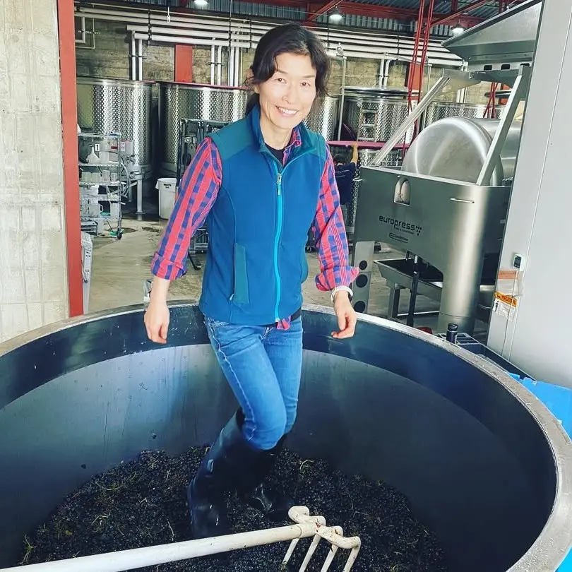 Six Cloves Wines